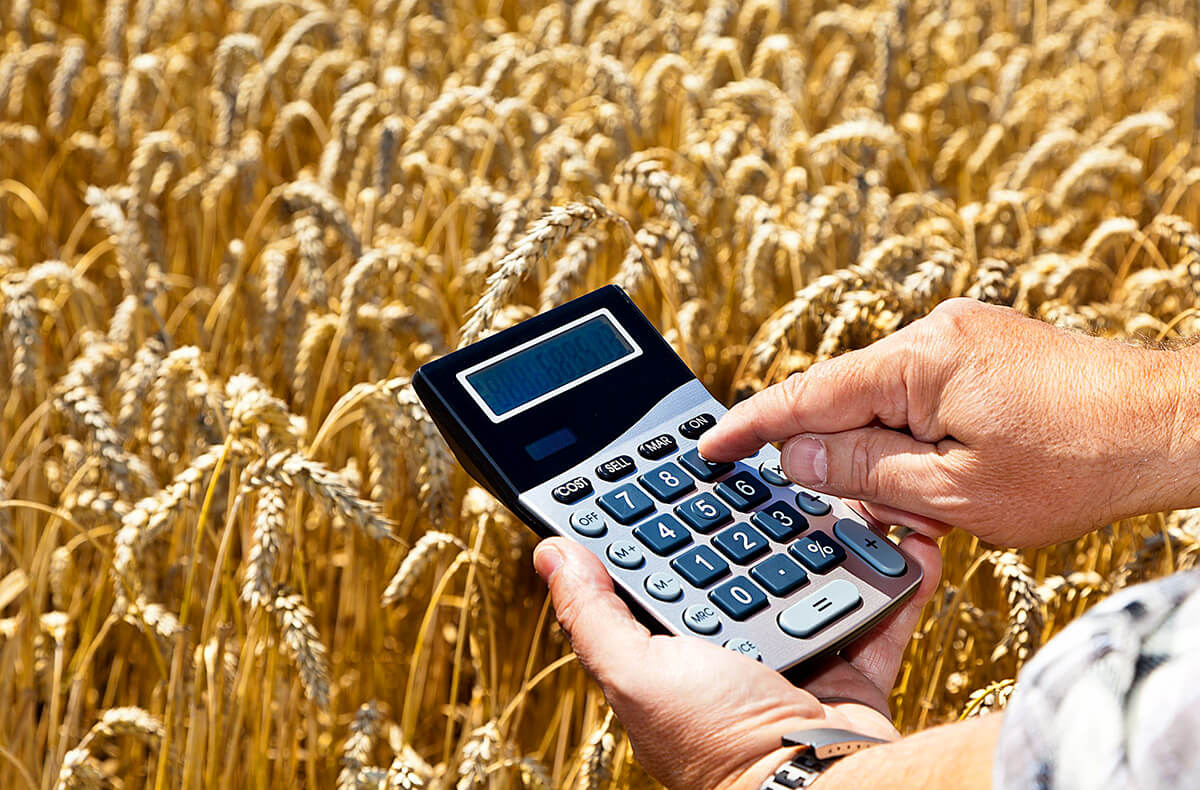 Онлайн мастер-класс "Механизмы финансовой поддержки сельхозпроизводителей"
